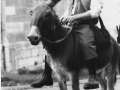 Les Tréteaux de Maître Pierre M.Cervantes E.de Falla Sancho Panza mes C.Nessi